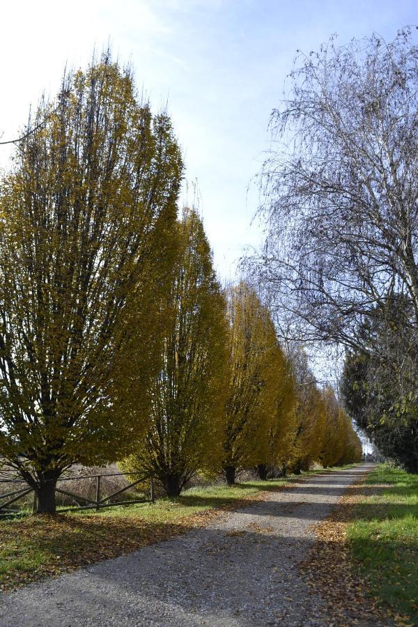 Agriturismo Fiamberta Bed and Breakfast Certosa di Pavia Εξωτερικό φωτογραφία